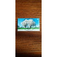 Германия. Цветущие вишни. 2006г. гашеная