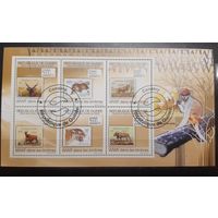 Республика Гвинея. 2009 год. Фауна. Блок (малый лист 6 марок) (606)
