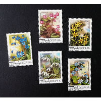 СССР 1983 г. Весенние цветы. Флора, полная серия из 5 марок #0181-Ф1P35