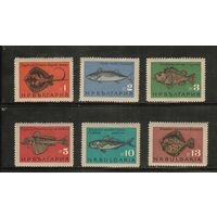 Болгария-1965(Мих.1542-1547) , **  ,  Морская Фауна, Рыбы(полная серия)