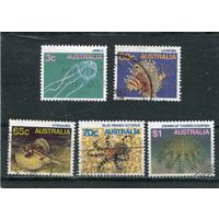 Австралия. Морская фауна