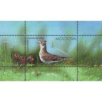 Молдова 2015. Фауна. Птицы блок (561)