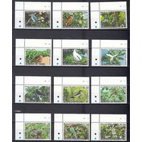 Фауна. Птицы. Тонга. 2013. 12 марок и малый лист. Michel N 1885-1908 (106,0 е)