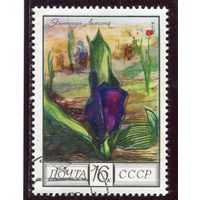 СССР 1975.. Флора. Эминиум Лемана