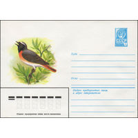 Художественный маркированный конверт СССР N 13923 (21.11.1979) Горихвостка