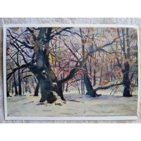 1957. Шовкуненко. Зима. Конча-Заспа