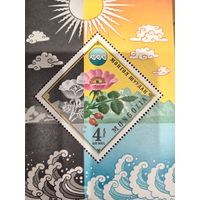 Монголия. Флора. Шиповник. Блок