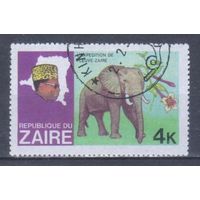 [2125] Заир 1979. Фауна.Африканский слон. Гашеная марка.