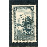 Французский Алжир. Ландшафт. Пальмовая роща Узд Бешар. 75с