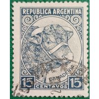 Аргентина 1935. Животноводство. Бык