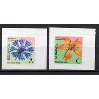 Беларусь 2002. Стандарт 6-й выпуск. Рододендрон, василек 2 марки  (241)