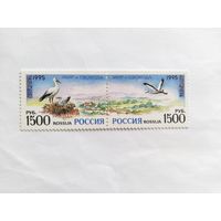Россия  1995 2 м сц..