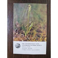 Календарик Прибалтика Липарис