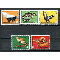 Болгария - 1985г. - Экзотические хищные животные - 5 марок - полная серия, MNH [Mi 3333-3337]. #O-Se-Z-1-3