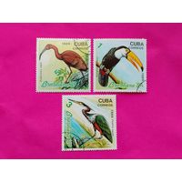 Куба. Птицы. ( 3 марки ) 1989 года. 7-9.