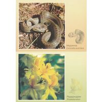 Беларусь 2000 Сохранение биоразнообразия Беларуси (8 шт. комплект) (к5)
