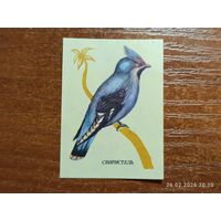 Спичечная этикетка Свиристель