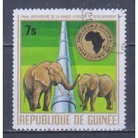 [2125] Гвинея 1975. Фауна.Африканский слон. Гашеная марка.