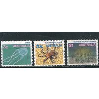 Австралия. Морская фауна