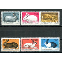 Болгария - 1986г. - Зайцы и кролики - 6 марок - полная серия, MNH [Mi 3447-3452]. #O-Se-Z-1-3