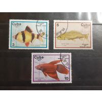 Куба. 1977 год. Фауна. Рыбы (26)