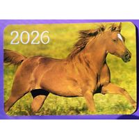 Лошадь. Календарик, глянец, 2026. Траско