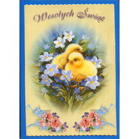 Подписанная открытка Польша "Пасха. Цыплята"