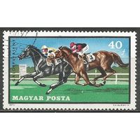 Венгрия. Скаковые соревнования. 1971г. Mi#2703.
