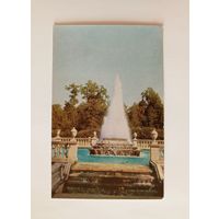 Открытка Петродворец. Фонтан "Пирамида". 1968 год. Чистая.