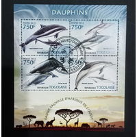 ЛИСТ ФАУНА рыбы морские обитатели  СТО