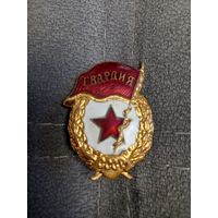 Знак ссср Гвардия
