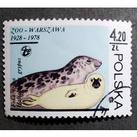 Марка Польша 1978 год 50 лет Варшавскому зоопарку