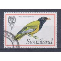 [1977] Свазиленд 1976. Фауна.Птицы.Черноголовая иволга. Гашеная марка.