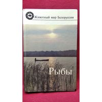 Рыбы. Животный мир Белоруссии