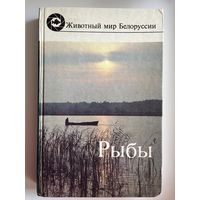 Рыбы. Животный мир Белоруссии
