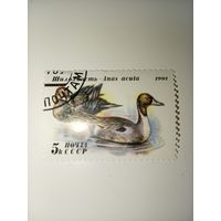 СССР 1991 ШИЛОХВОСТ