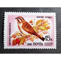 Марка СССР 1981 год Птицы
