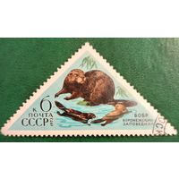 СССР 1973. Воронежский заповедник. Бобр. Марка из серии