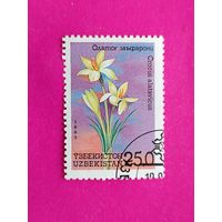 Узбекистан. Цветы. ( 1 марка ) 1993 года. 7-9.