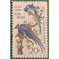 США 1967. Джон Джеймс Одюбона. Колумбийские сойки