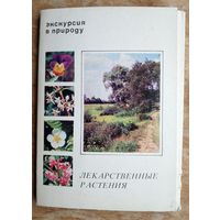Набор открыток "Экскурсия в природу. Лекарственные растения." 1977 г. 25 откр.
