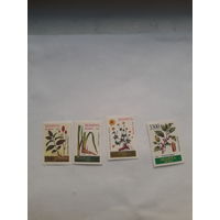 Марки Беларусь 1996 Лекарственные травы