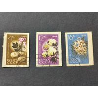 1964 СССР. Сельскохозяйственные растения. Беззубцовые