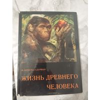Жизнь древнего человека. Артия