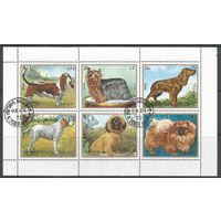 Шарджа. Собаки. 1972г. Mi#1270-75. Klb.