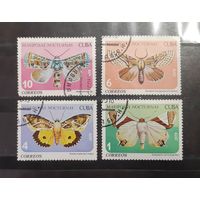 Куба. 1979 год. Фауна. Бабочки (179)