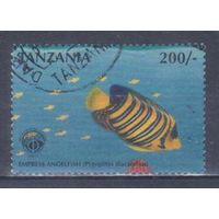 [902] Танзания 1998. Фауна.Рыбы. Гашеная марка.