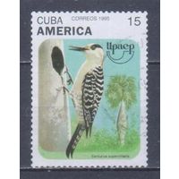 [806] Куба 1995. Фауна.Птицы.Дятел. Гашеная марка.