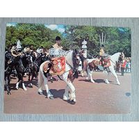 Этнография. Барабанные кони, Лондон