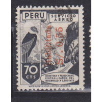 Птицы фауна Перу 1949 год лот 7 с НАДПЕЧАТКОЙ или ПРЕДВАРИТЕОЬНЫМ ГАШЕНИЕМ